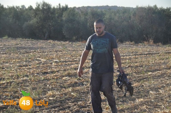 7amam lud monir 908 (54).JPG